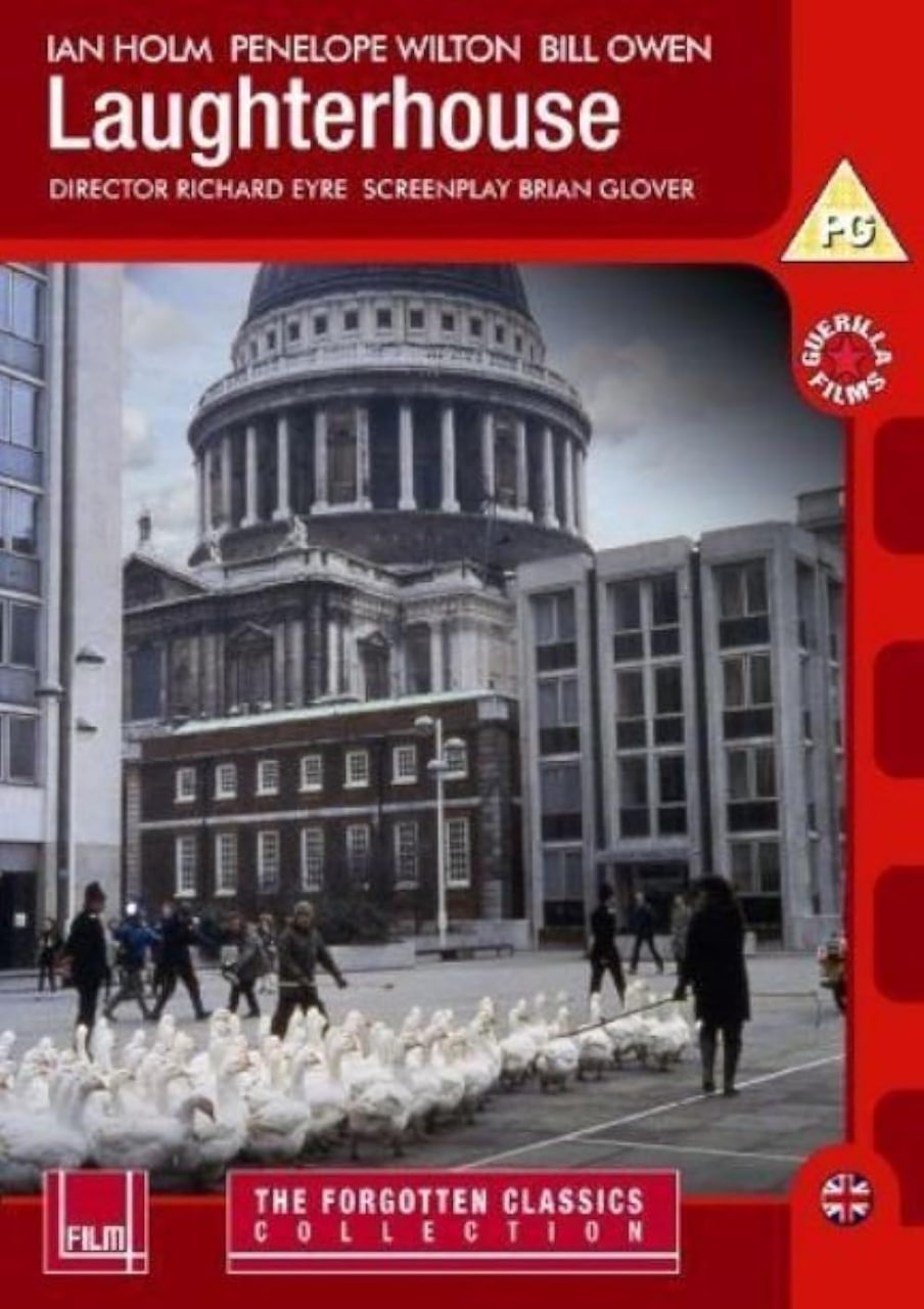 辛格尔顿的勇气